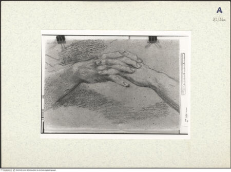 Vorderseite von bh439450_recto