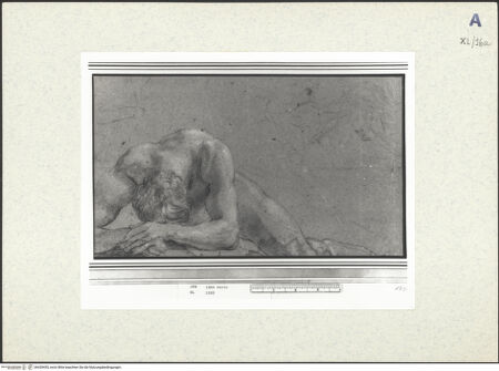 Vorderseite von bh439455_recto