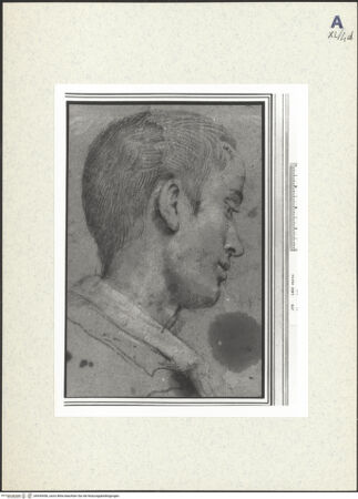 Vorderseite von bh439456_recto