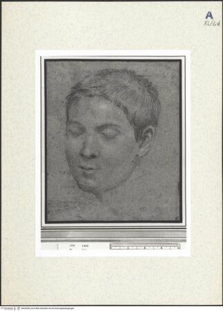 Vorderseite von bh439458_recto