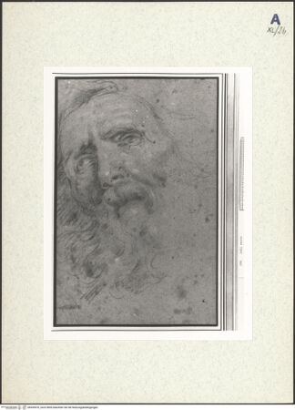 Vorderseite von bh439470_recto