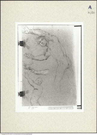 Vorderseite von bh439472_recto