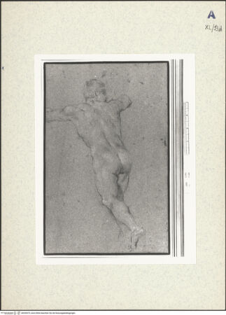 Vorderseite von bh439473_recto