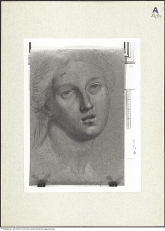 Vorderseite von bh439475_recto