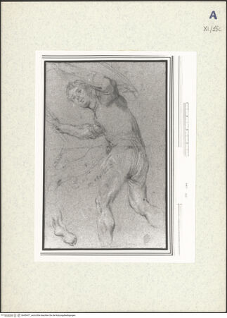 Vorderseite von bh439477_recto