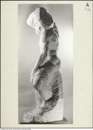 Vorderseite von bh439531_recto