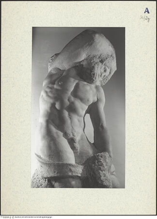 Vorderseite von bh439533_recto