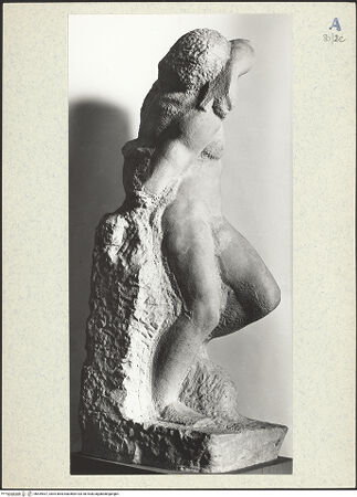 Vorderseite von bh439537_recto