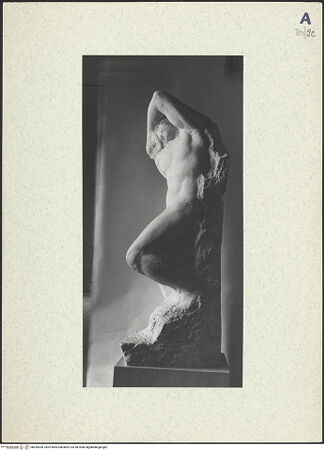 Vorderseite von bh439538_recto