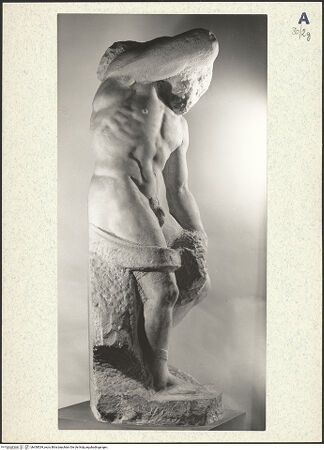 Vorderseite von bh439539_recto