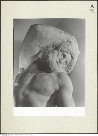 Vorderseite von bh439540_recto