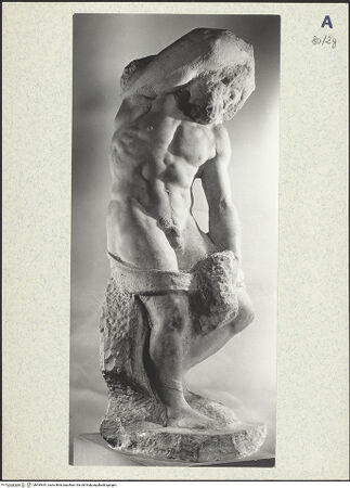 Vorderseite von bh439541_recto