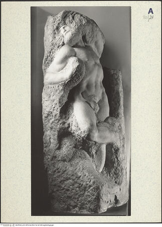 Vorderseite von bh439545_recto