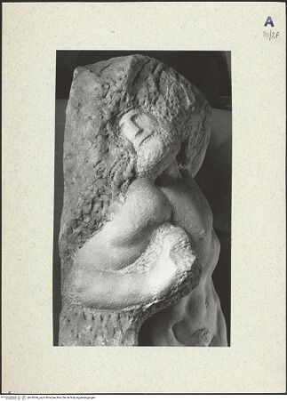 Vorderseite von bh439546_recto