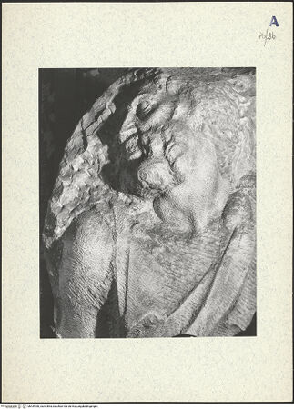 Vorderseite von bh439550_recto