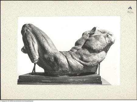 Vorderseite von bh439552_recto