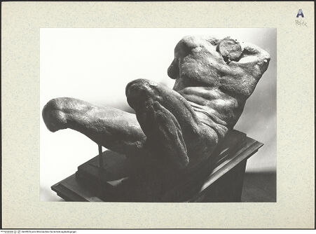 Vorderseite von bh439553_recto