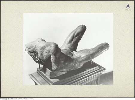 Vorderseite von bh439554_recto