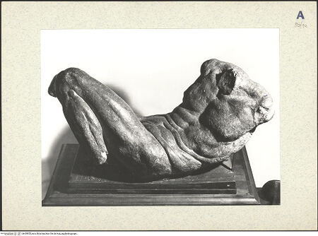 Vorderseite von bh439555_recto