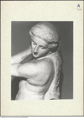 Vorderseite von bh439557_recto