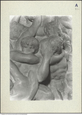 Vorderseite von bh439558_recto