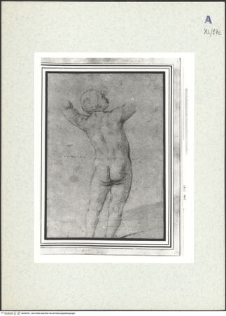 Vorderseite von bh439591_recto