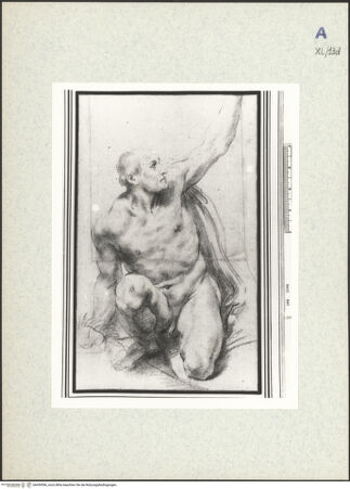 Vorderseite von bh439596_recto