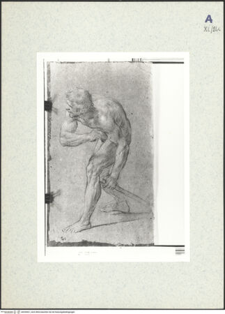 Vorderseite von bh439601_recto