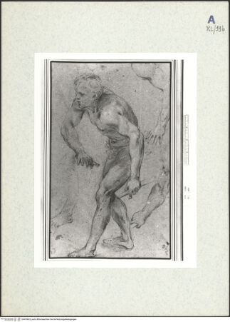 Vorderseite von bh439603_recto