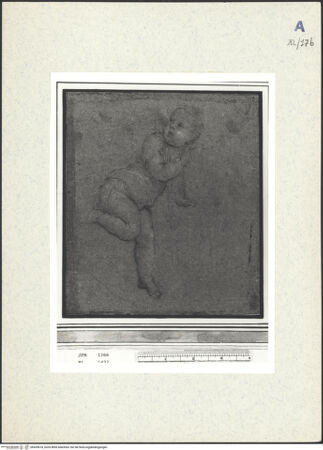 Vorderseite von bh439618_recto