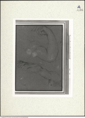 Vorderseite von bh439634_recto