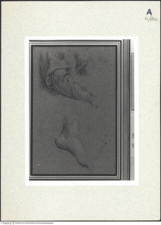 Vorderseite von bh439635_recto