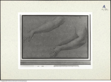 Vorderseite von bh439636_recto