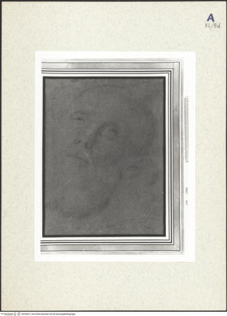 Vorderseite von bh439637_recto