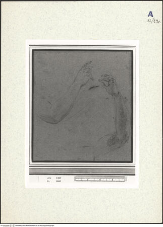 Vorderseite von bh439642_recto