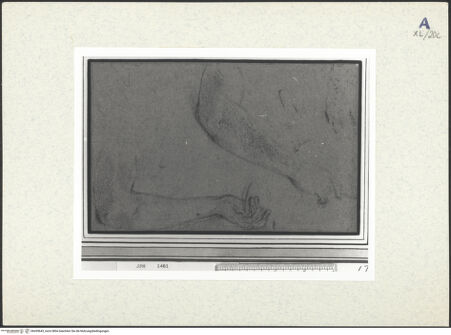 Vorderseite von bh439643_recto