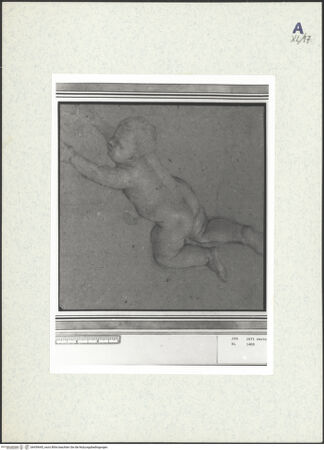 Vorderseite von bh439645_recto