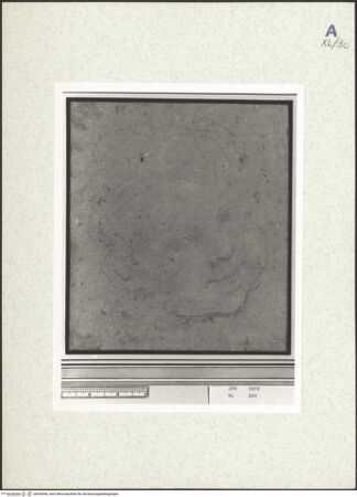 Vorderseite von bh439646_recto