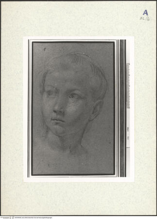 Vorderseite von bh439648_recto