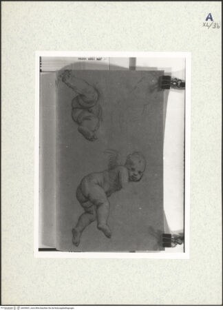 Vorderseite von bh439651_recto