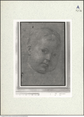 Vorderseite von bh439652_recto