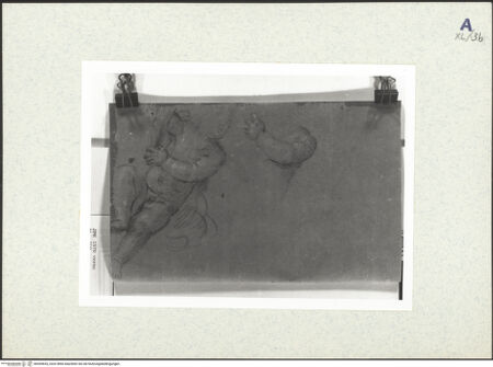 Vorderseite von bh439653_recto