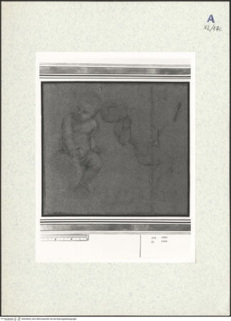 Vorderseite von bh439654_recto