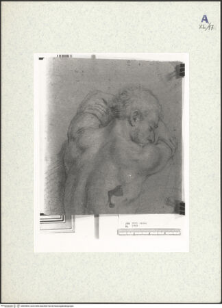 Vorderseite von bh439655_recto