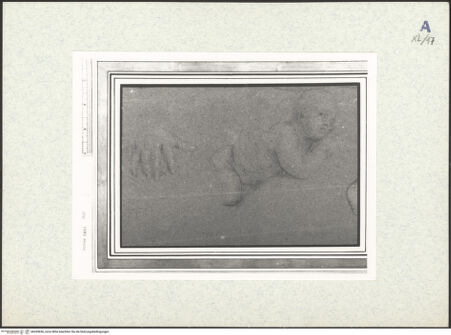 Vorderseite von bh439656_recto