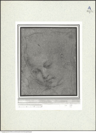 Vorderseite von bh439662_recto