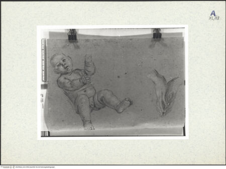 Vorderseite von bh439664_recto