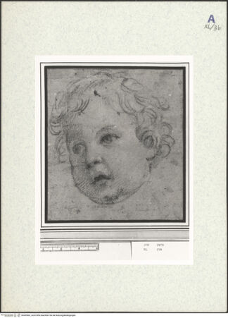 Vorderseite von bh439665_recto