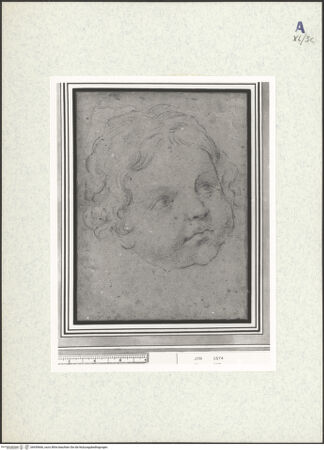 Vorderseite von bh439666_recto