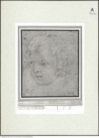 Vorderseite von bh439667_recto